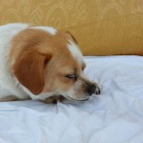 IMG-20150512-WA00041