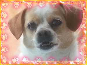 Daisy